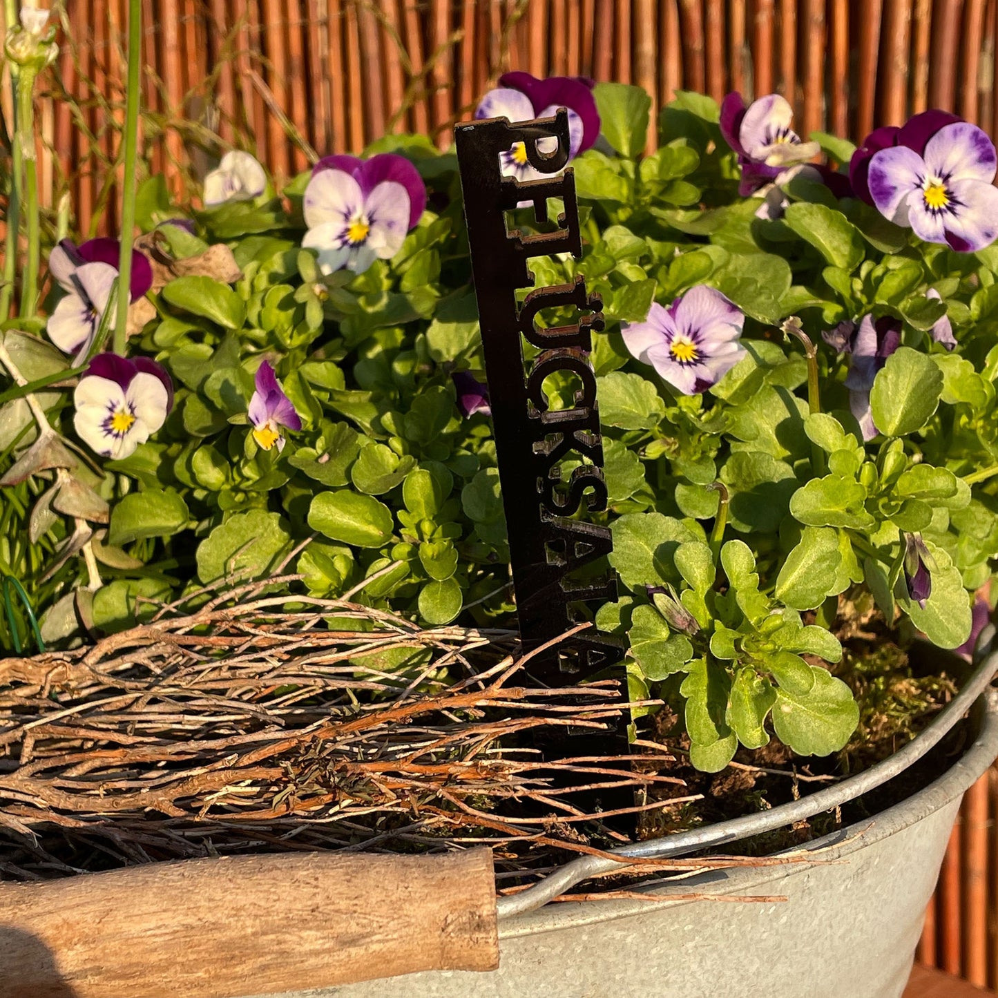 Pflanzstecker personalisiert 10 Stück | aus Acryl | Beetstecker | Gemüse | Kräuter | Obst | Blumen | Garten Beschriftung