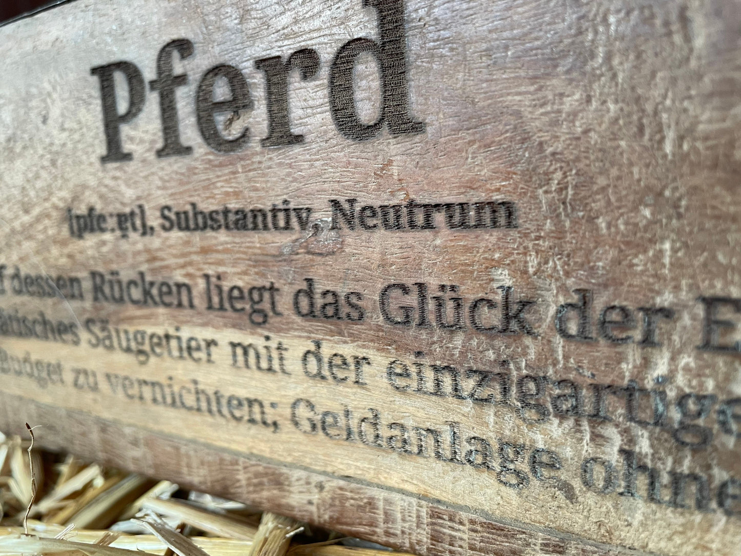 Ziegelform Definition Pferd, Geschenk Pferdemädchen, Aufbewahrung, Holz Vintage personalisierbar, rustikale Deko aus Altholz