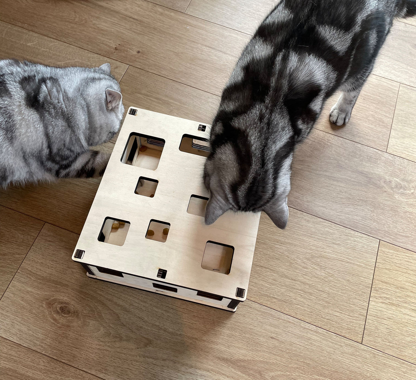 Katzen-Fummelbrett aus Holz Futterspielzeug Beschäftigung Intelligenzspielzeug gegen Langeweile  Nachhaltig Wohnungskatzen Leckerli-Spiel