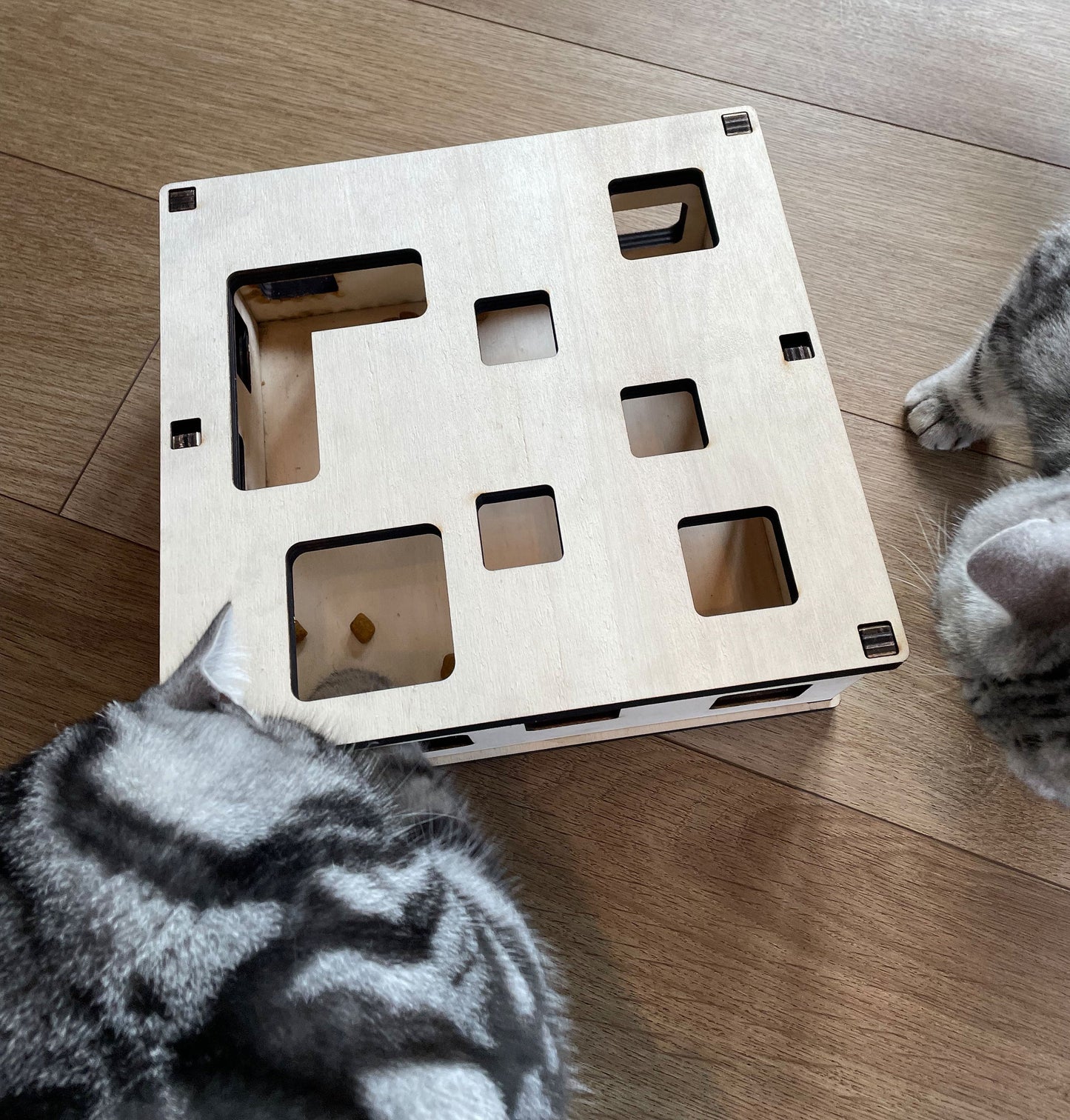 Katzen-Fummelbrett aus Holz Futterspielzeug Beschäftigung Intelligenzspielzeug gegen Langeweile  Nachhaltig Wohnungskatzen Leckerli-Spiel