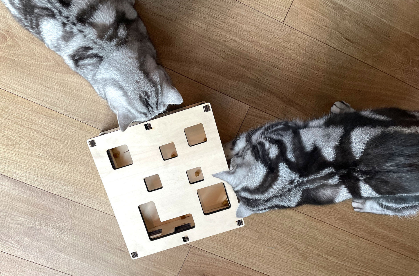 Katzen-Fummelbrett aus Holz Futterspielzeug Beschäftigung Intelligenzspielzeug gegen Langeweile  Nachhaltig Wohnungskatzen Leckerli-Spiel