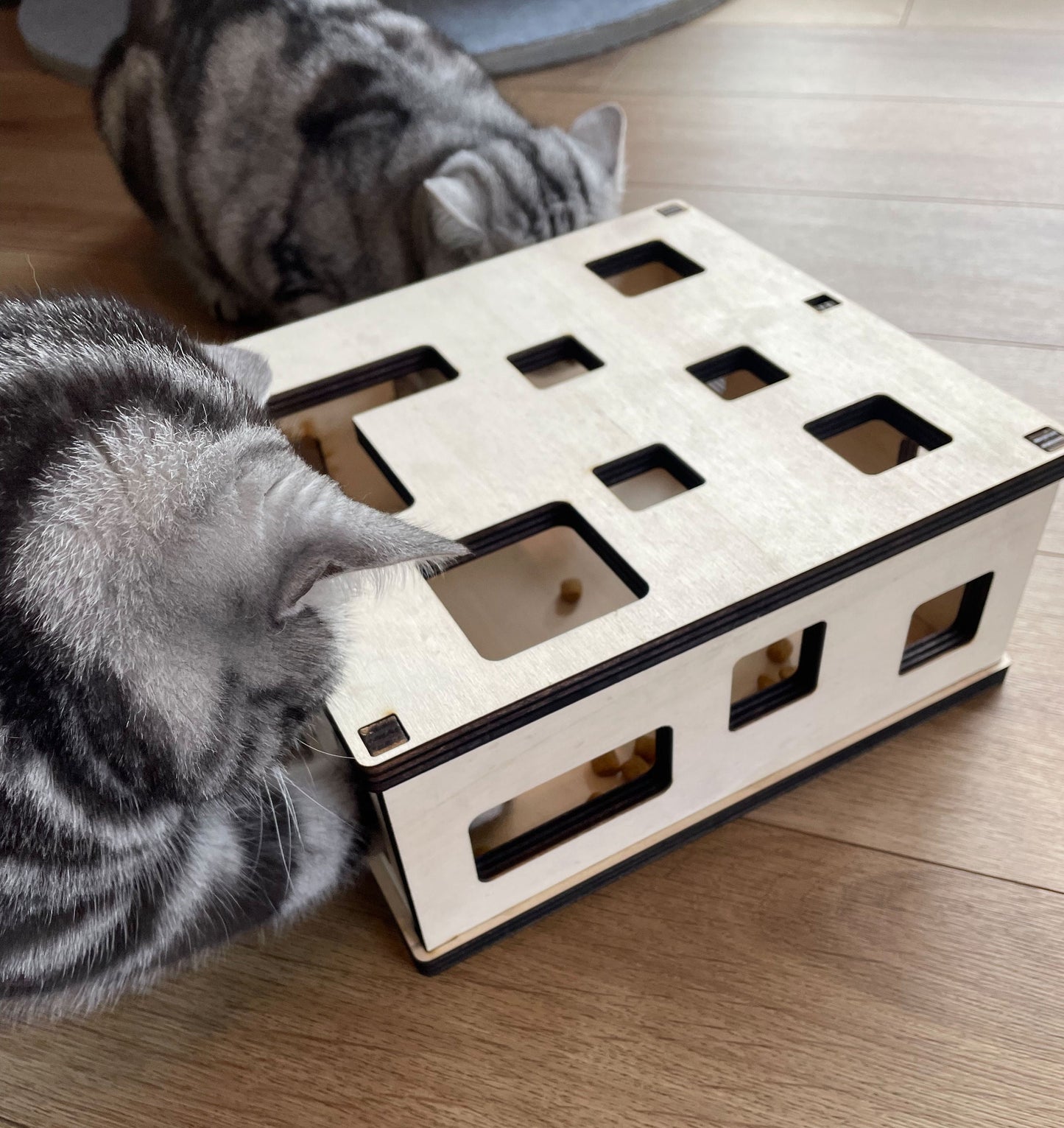 Katzen-Fummelbrett aus Holz Futterspielzeug Beschäftigung Intelligenzspielzeug gegen Langeweile  Nachhaltig Wohnungskatzen Leckerli-Spiel