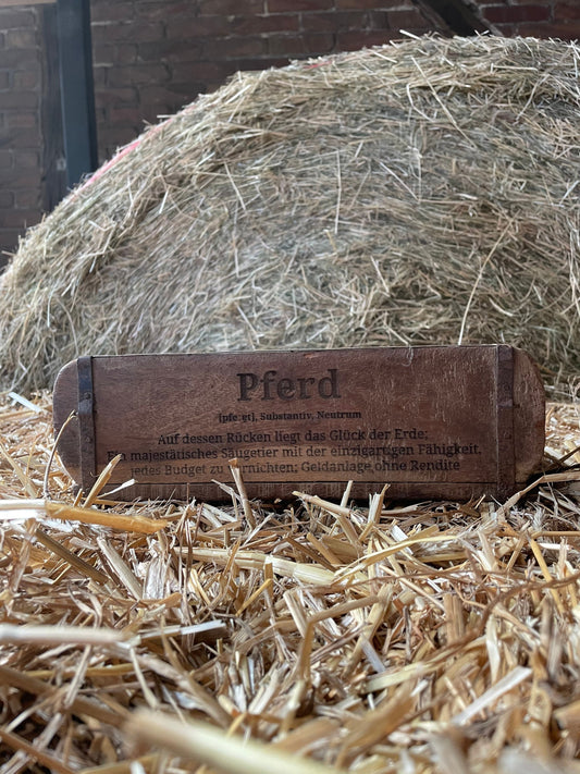 Ziegelform Definition Pferd, Geschenk Pferdemädchen, Aufbewahrung, Holz Vintage personalisierbar, rustikale Deko aus Altholz